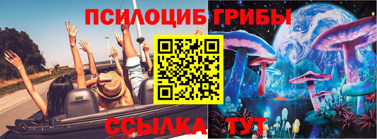 Мценск  Галлюциногенные грибы прущие грибы  Галлюциногенные грибы Magic Shrooms  Вход с VPN 
